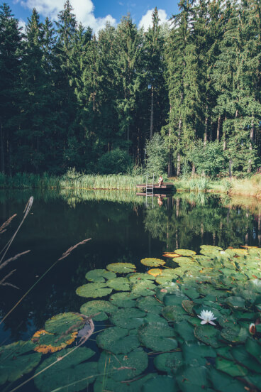 Ayurveda in Tschechien