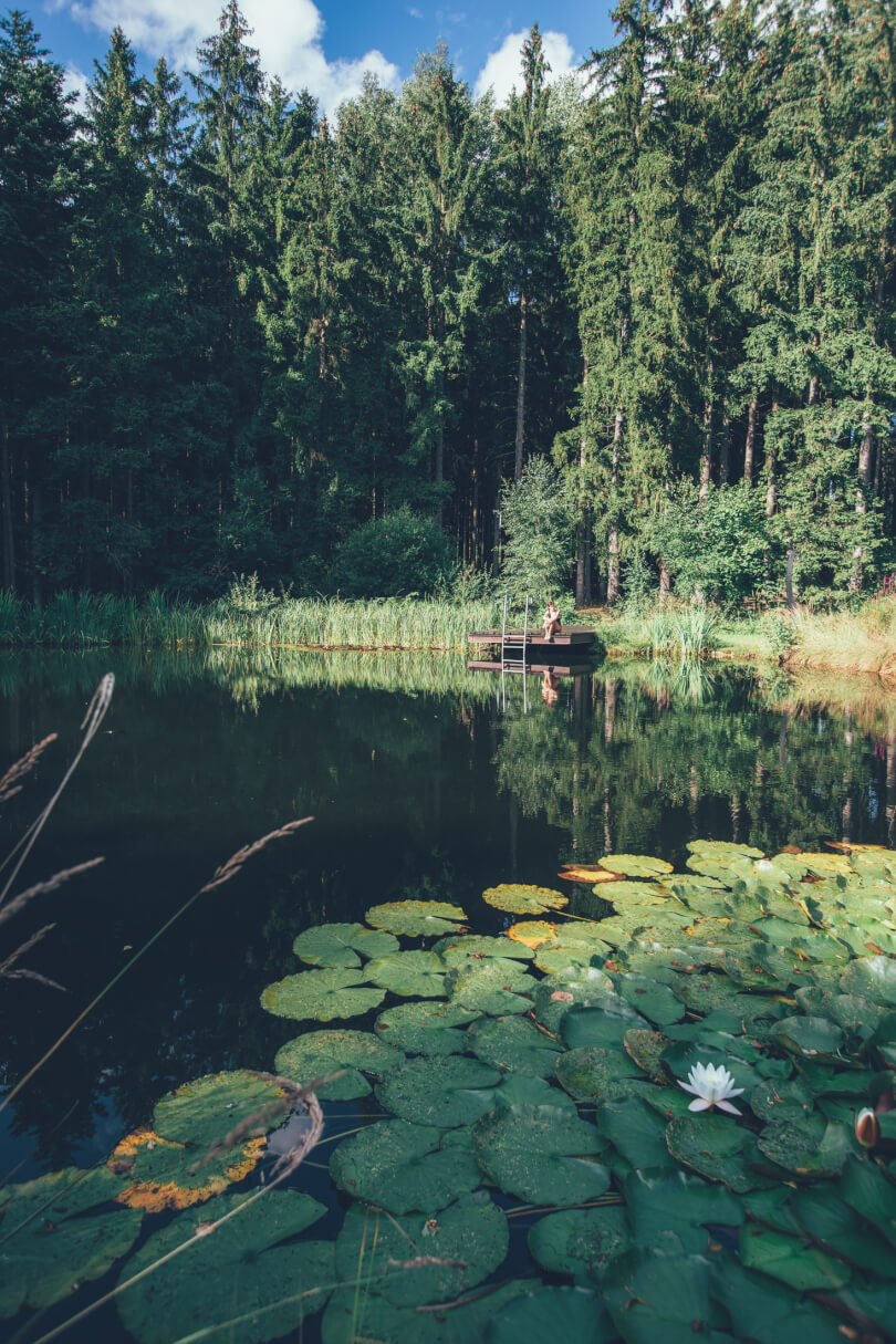 Ayurveda in Tschechien