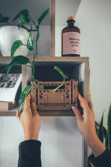Aufbewahrungsbox