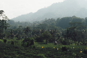 Bali zur Regenzeit
