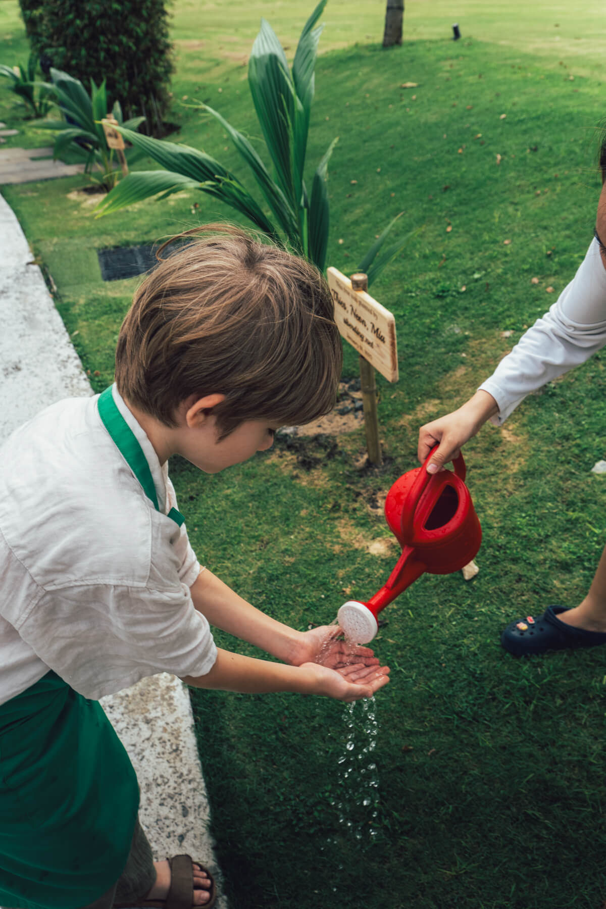 Alma Resort Cam Ranh - Plant a tree