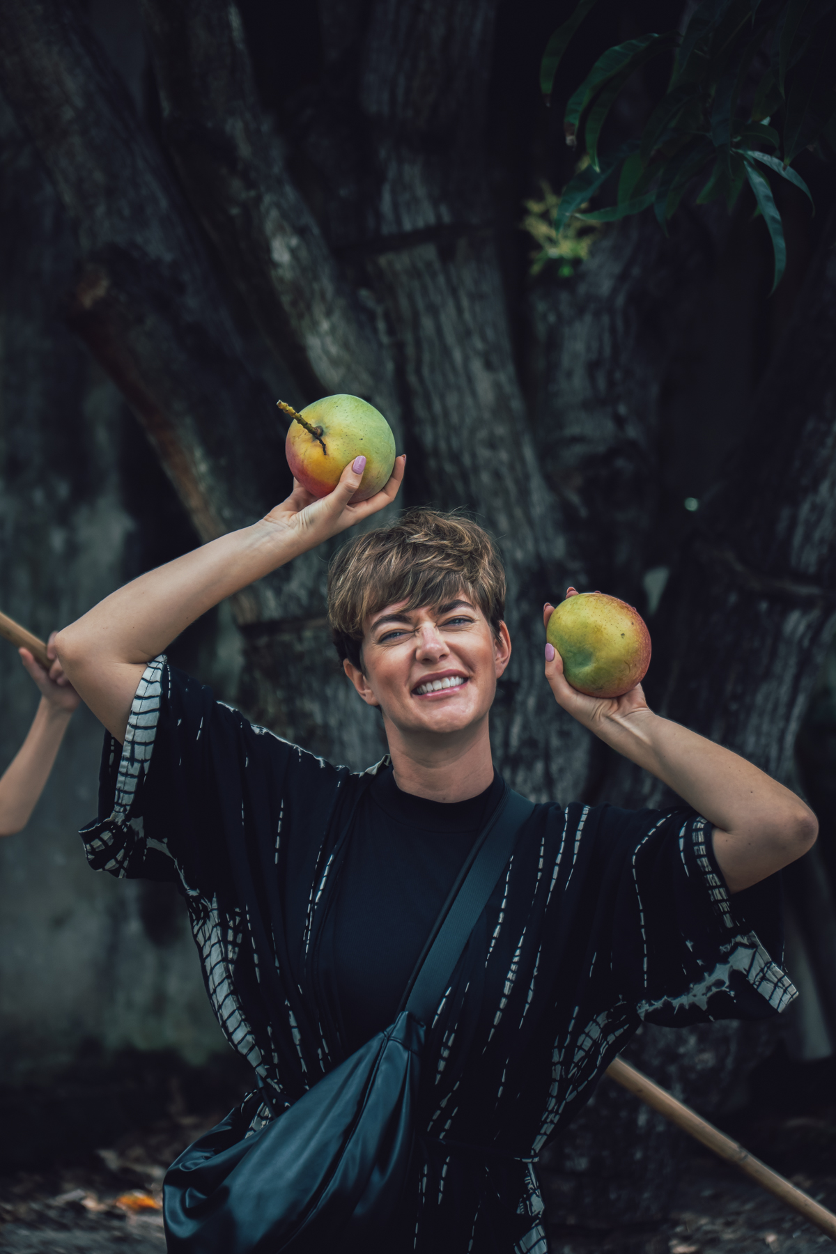 Vietnam Mango Farm